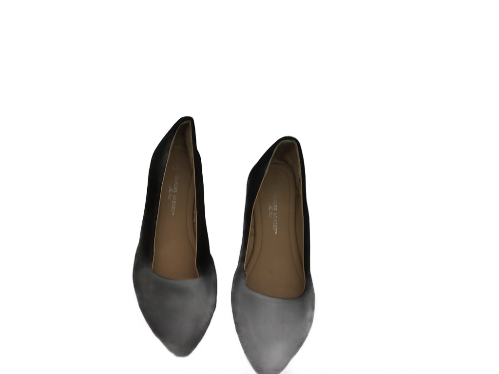 Charles Albert Women's Classic Pointed-Toe Ballet Flats | Size 8
