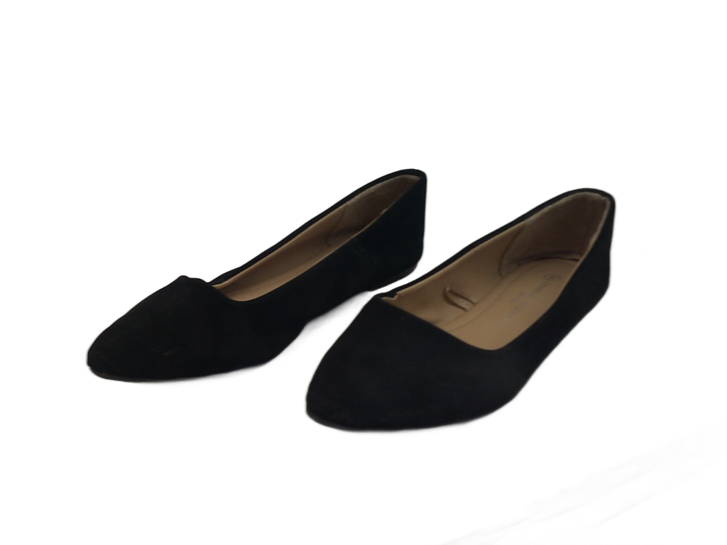 Charles Albert Women's Classic Pointed-Toe Ballet Flats | Size 8