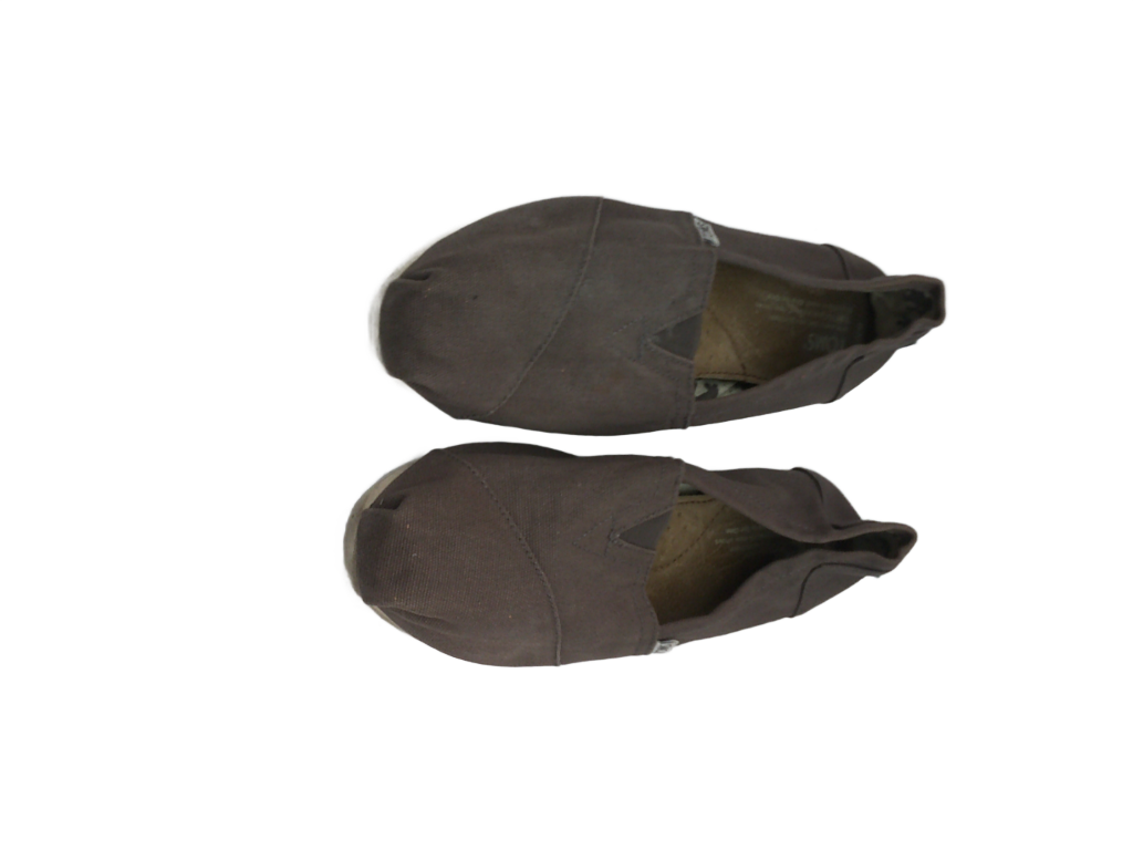 TOMS Alpargata Classic Ash Canvas Flats | Size 9