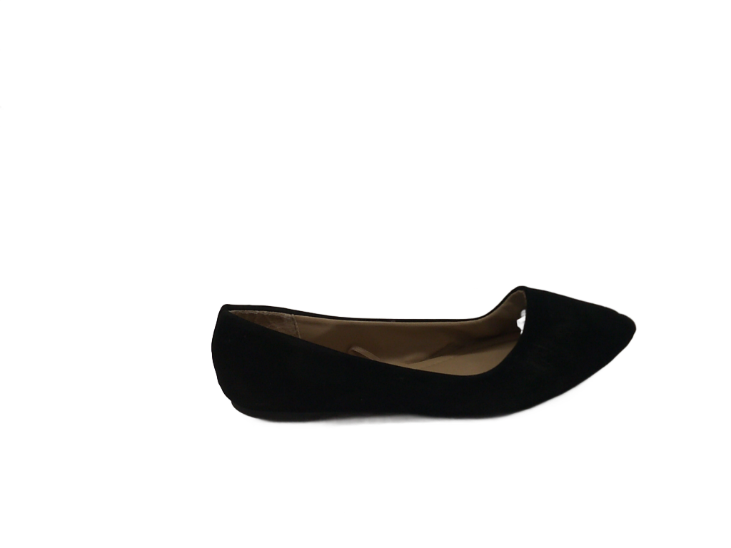 Charles Albert Women's Classic Pointed-Toe Ballet Flats | Size 8