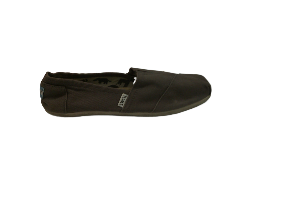 TOMS Alpargata Classic Ash Canvas Flats | Size 9